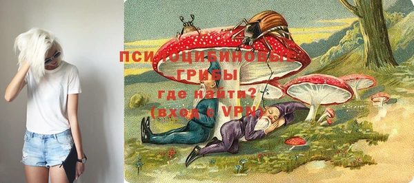 винт Майский