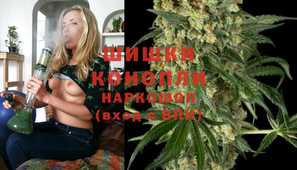 МДПВ Липки