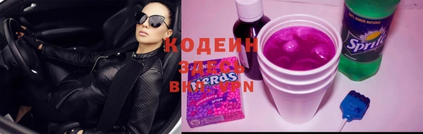 хмурый Лиски