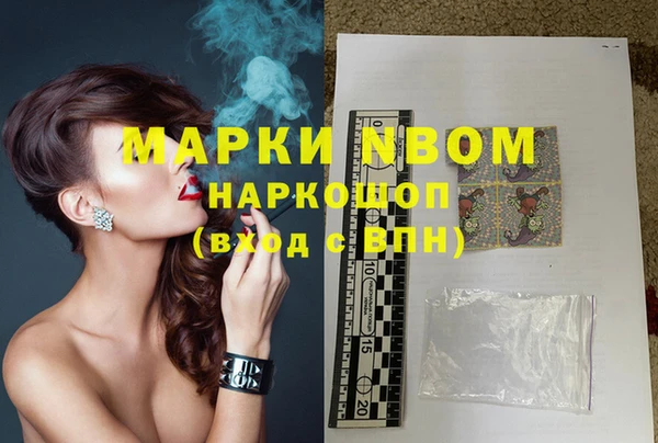 хмурый Лиски