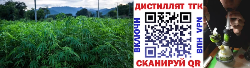 Дистиллят ТГК Wax Ува